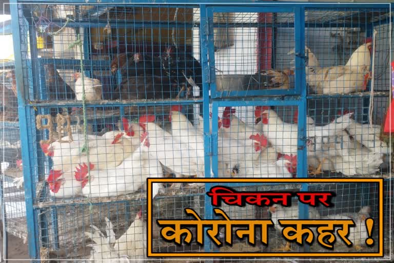 Corona crisis in Chhindwara Chicken Market