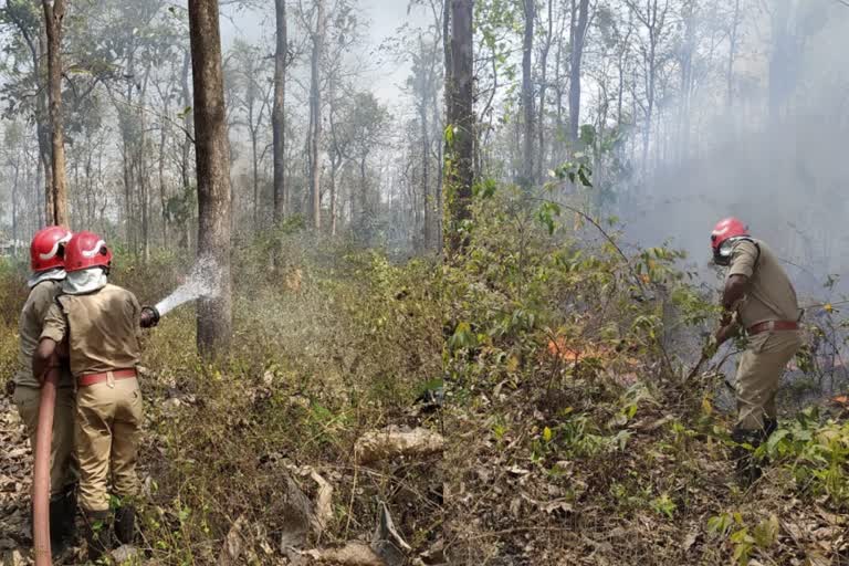 ആര്യവല്ലിക്കാവ് തീപിടിത്തം  arayavallikkavu fire  fire attack arayavallikkavu  ആര്യവല്ലിക്കാവ് റിസർവ് ഫോറസ്റ്റ്  നിലമ്പൂർ അഗ്നിശമന സേനാംഗങ്ങൾ