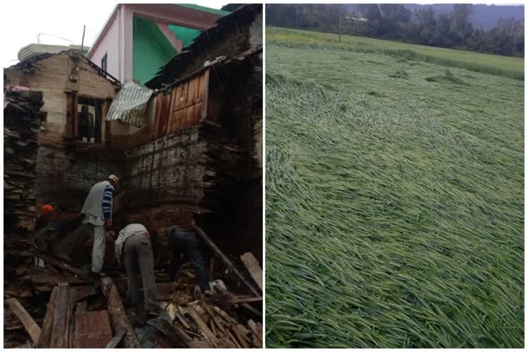 winds damage crops in Shilai