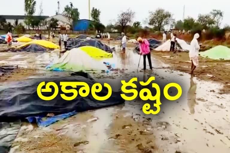 farmers facing troubles with sudden rain in nizamabad