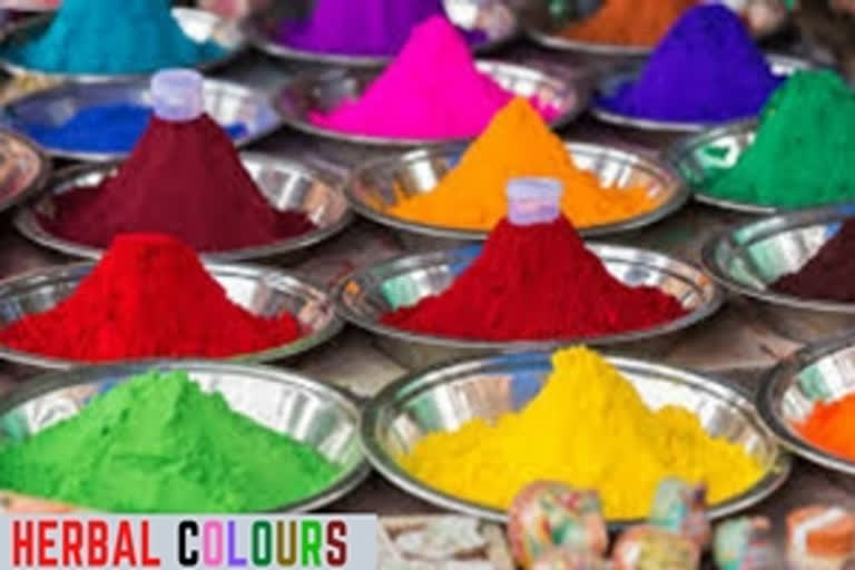 Hyderabad Holi  Holi news  Herbal colours  Herbal colours in Holi  ഹോളി ആഘോഷങ്ങള്‍ക്ക് നിറം പകരാന്‍ പ്രകൃതിദത്ത നിറങ്ങള്‍  ഹെദരാബാദ്‌  ഹോളി  ഹോളി 2020