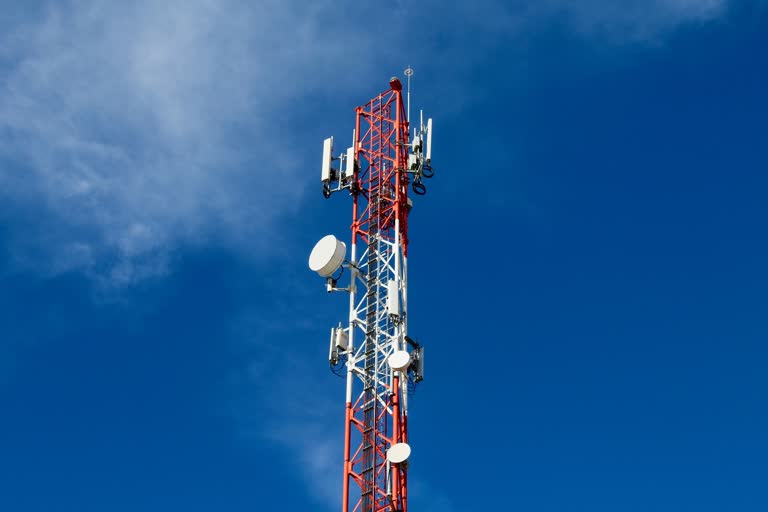 Telecom Sector