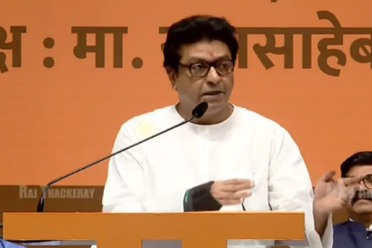 Raj thackeray comment on MNS shadow cabinet