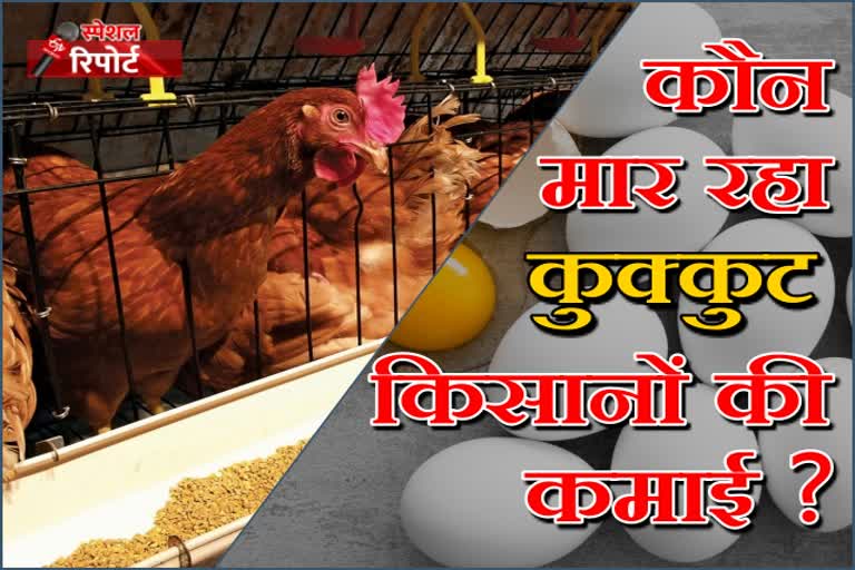 राजस्थान में अंडा उत्पादन में गिरावट,  Decline in egg production in Rajasthan