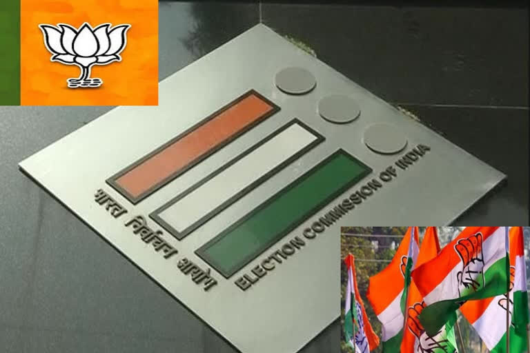 EC working group proposes cap on expenditure of political  parties for electioneering