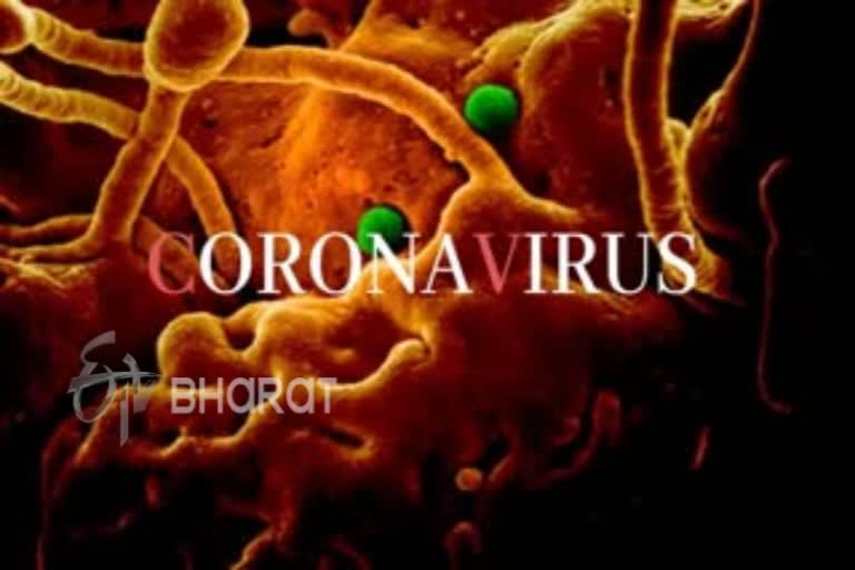 corona virus