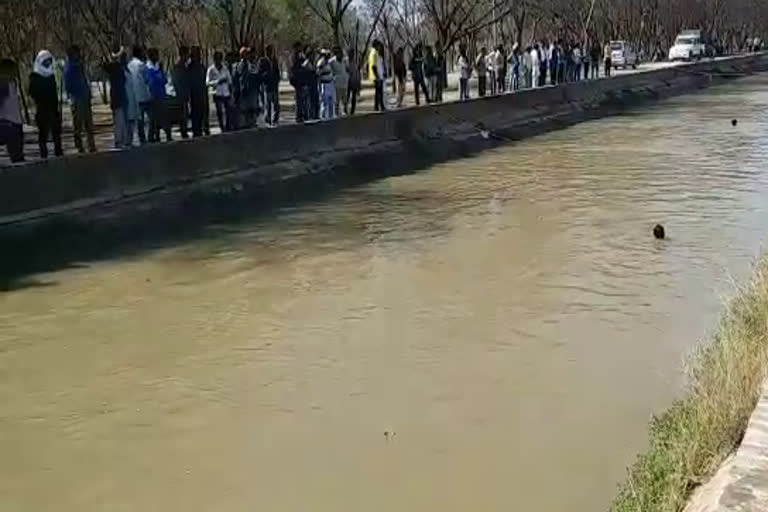 brothers died drowning in the canal, 2 सगे भाइयों की मौत हनुमानगढ़