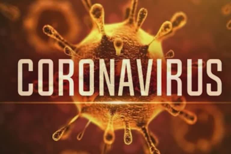 CORONA VIRUS CASES IN INDIA