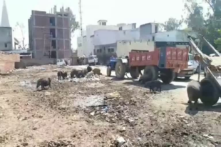 pile of garbage in nuh vegetable market