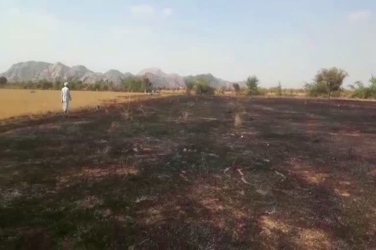 खेत में लगी भीषण आग, fire in field