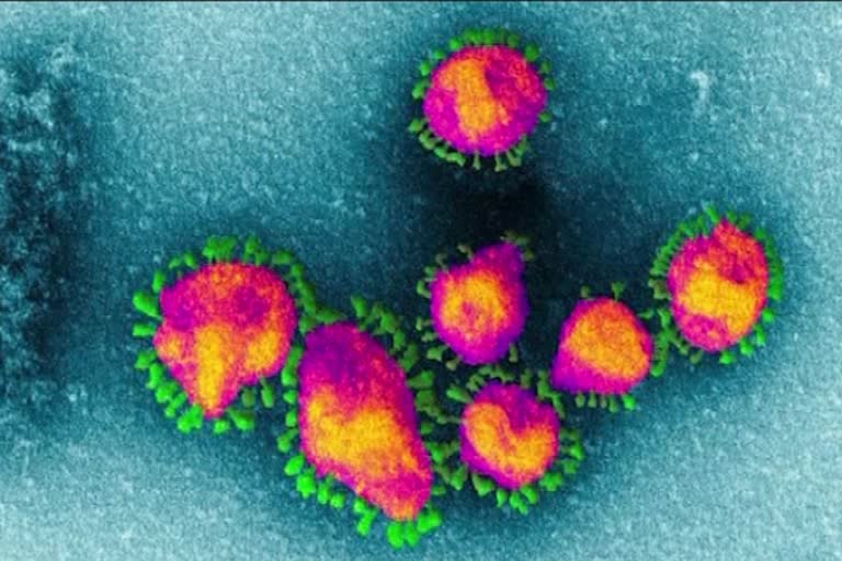 Coronavirus cases in Italy jump to over 8,500, death toll at 631