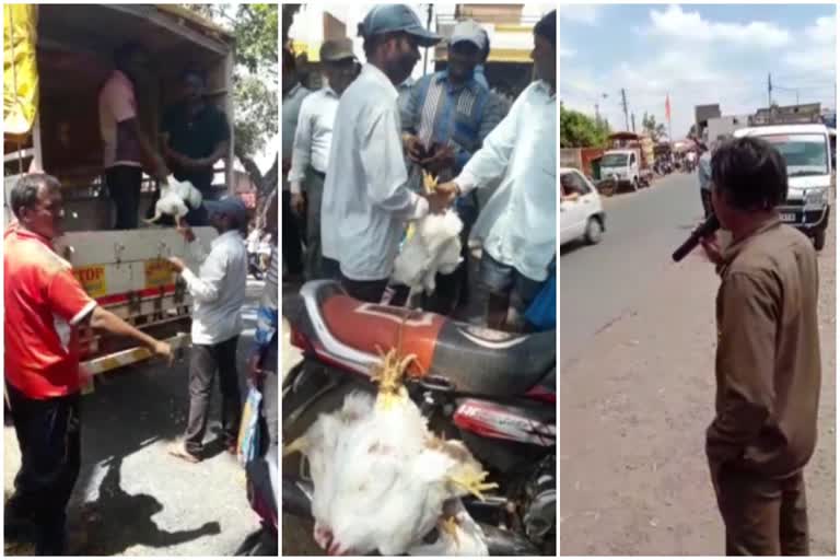 chickens cell in kolhapur due to corona