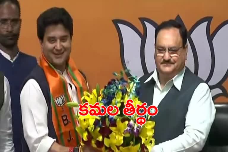 scindhia joins bjp