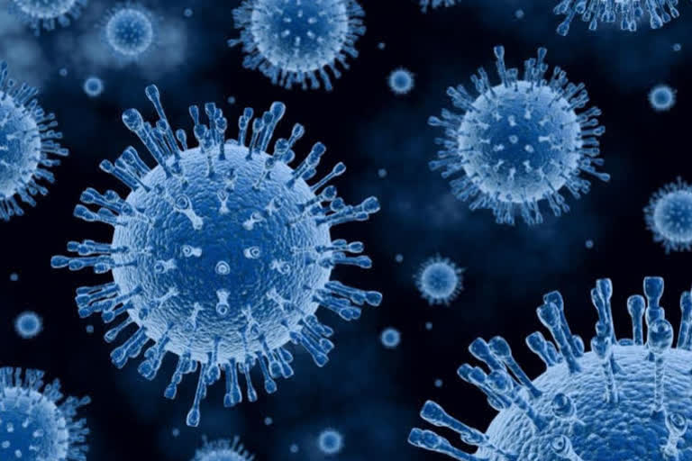 Two employees of Dell, Mindtree test positive for coronavirus