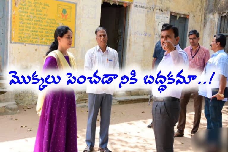 Collector Sarath Kumar suddenly visited the zpbh school and outraged the teachers for not having plants in the school in Kamareddy