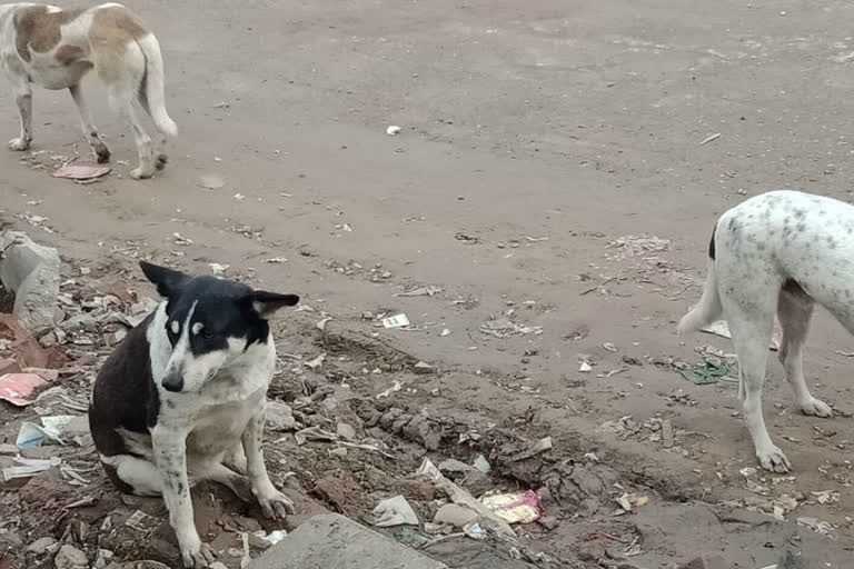 क र ड आव र क त त क आत क स दहशत म ल ग श क यत क ब द भ क र रव ई नह