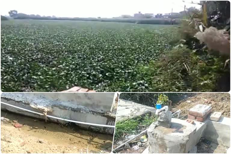 pond filled with water from the Delhi Jal Board in Narela