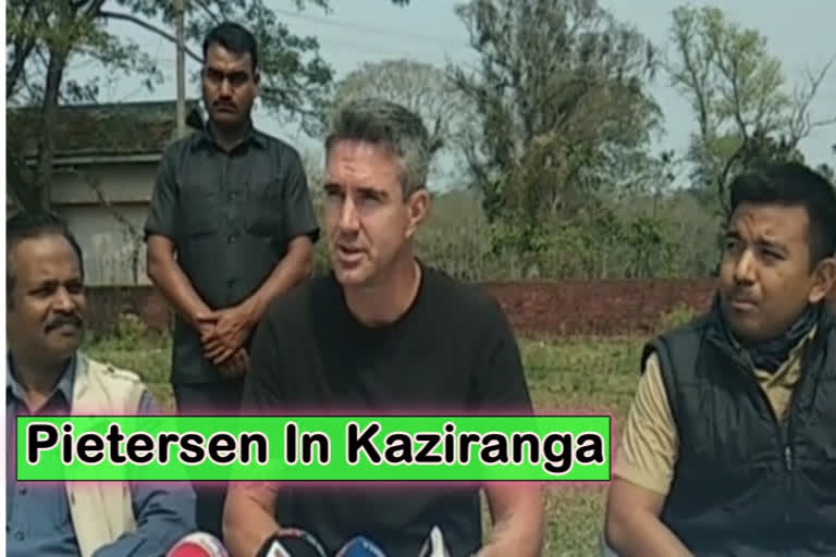 Kevin Pietersen praises Assamese people at Kaziranga National Park