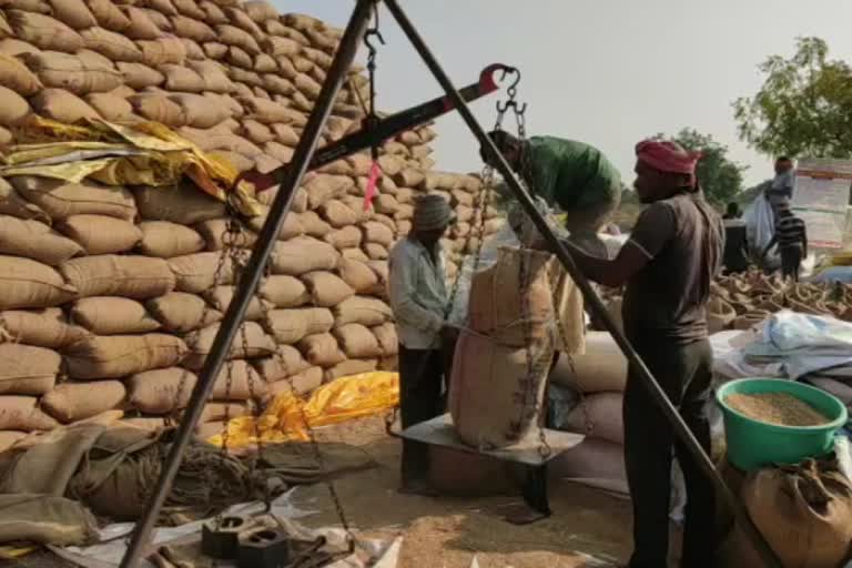 rice purchase Center Bhandara