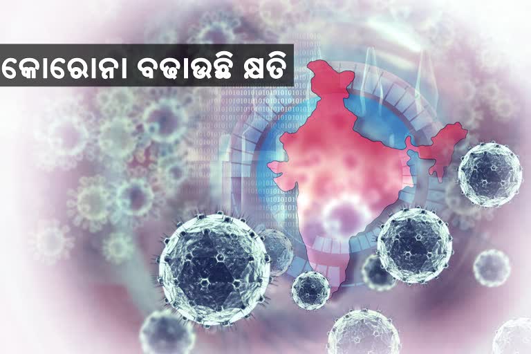 Know impact of coronavirus on India's business