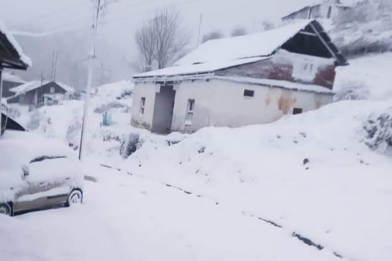 snowfall in upper area of shimla district