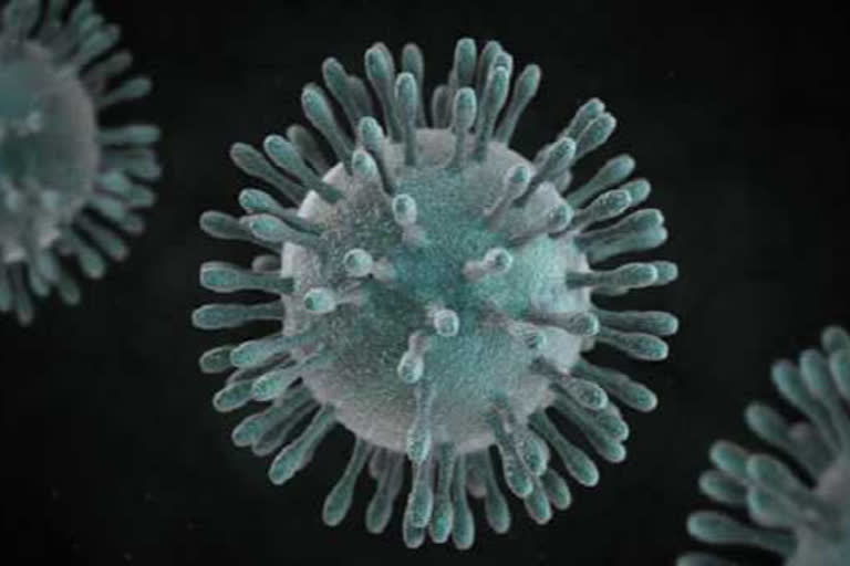 coronavirus