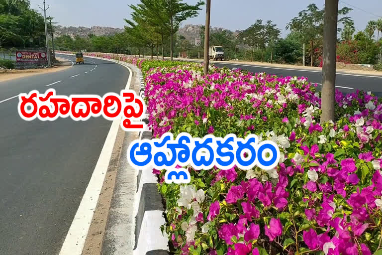 ఆహ్లాదకరంగా యాదగిరిగుట్ట రోడ్లు