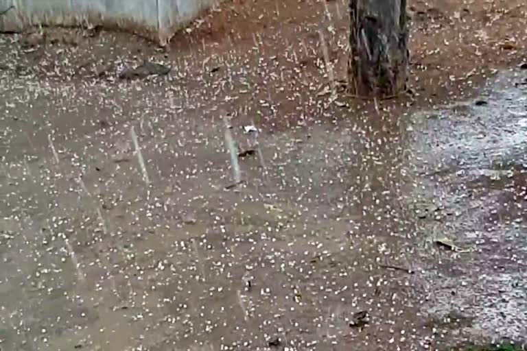 People troubled by rain and Hail storm in Surajpur