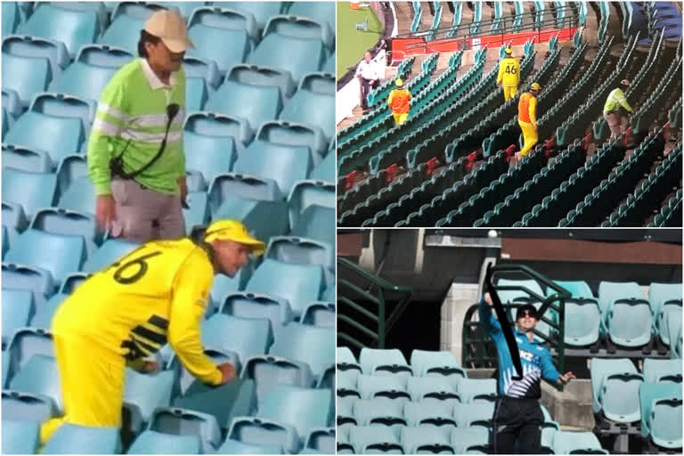 Kiwis pacer Lockie Ferguson, Australia bowler Ashton Agar searched for ball in an empty stand at the SCG