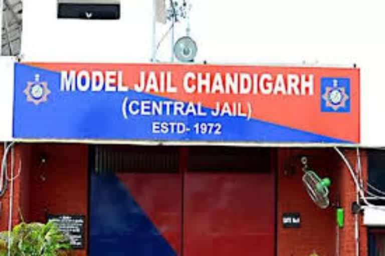 chandigarh burail jail