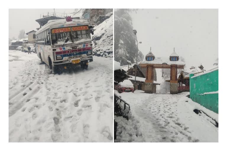 fresh snowfall in pangi and bharmour