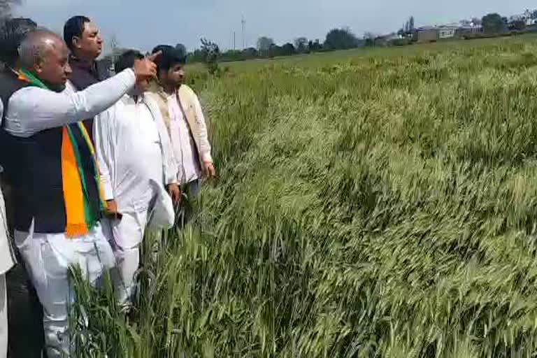 karan dev kamboj meet farmers of yamunanagar