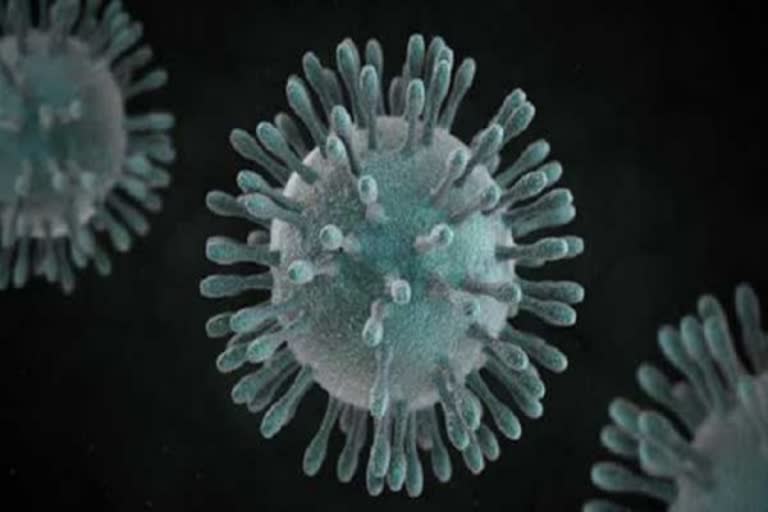 rumor-has-it-that-81-year-old-coronavirus-in-vellore-health-department-announces