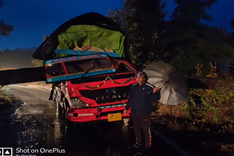 tree-fell-on-truck-in-berinag