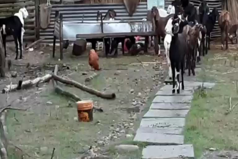 Hamirpur rains for 2 days continuously