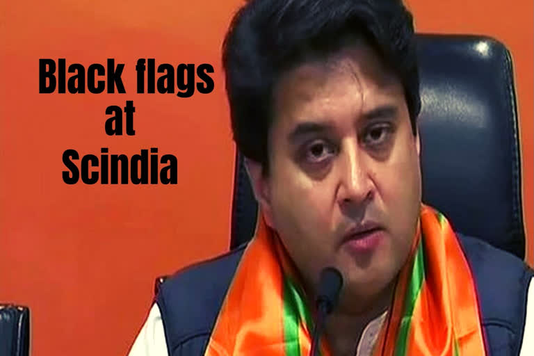 Congress workers  Bhopal airport  Jyotiraditya Scindia  Black flags at Scindia  ജോതിരാദിത്യ സിന്ധ്യ  ജോതിരാദിത്യ സിന്ധ്യക്ക് നേരെ കരിങ്കൊടി കാണിച്ച് കോണ്‍ഗ്രസ്  മധ്യപ്രദേശ്