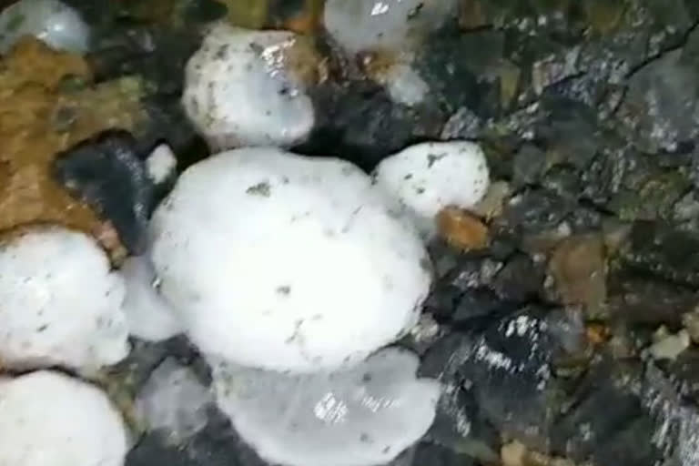 rain with hail in Sidhi district