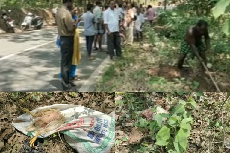 The dead chicken were found in roadside  chicken  bird flu  thriuvanthapuram  പക്ഷിപ്പനി  ചത്തകോഴികൾ  തിരുവനന്തപുരം