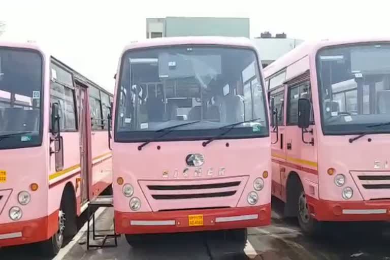 Pink buses included in haryana roadways for girl students