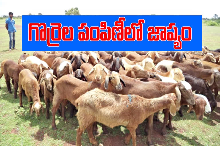 Delay in distribution of sheep road blockade on 16th at jangaon