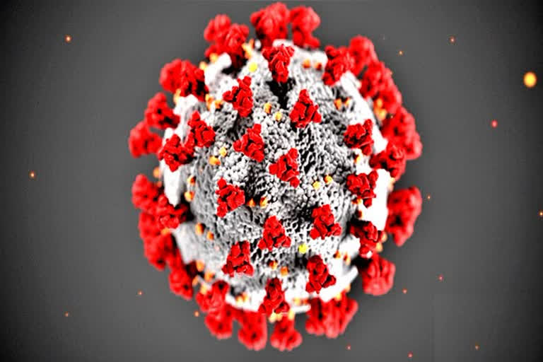 LIVE UPDATE OF CORONA VIRUS IN INDIA