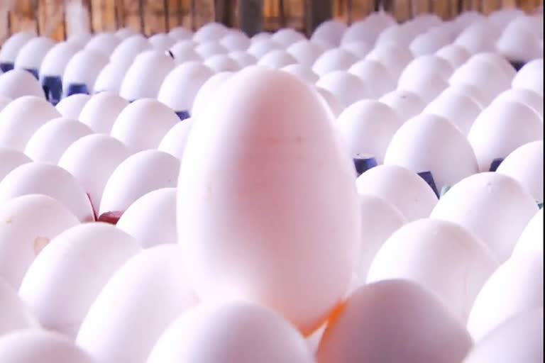 egg-prices-fall-to-unprecedented-level-in-four-years