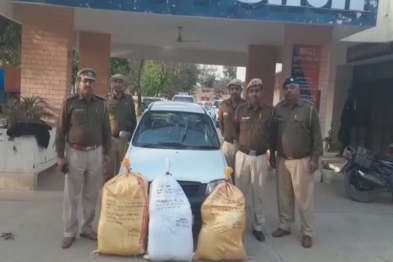 police recovered cannabis and poppy husk in hisar