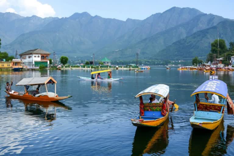 Kashmir