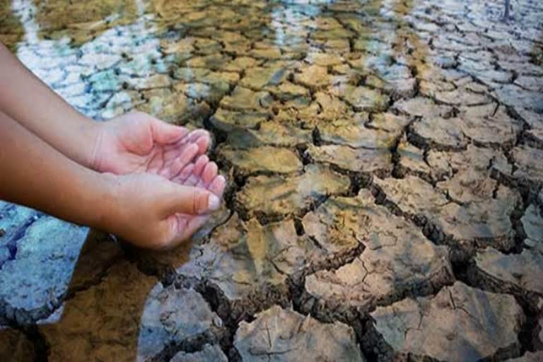 water drought in krishnagiri thenkanikottai