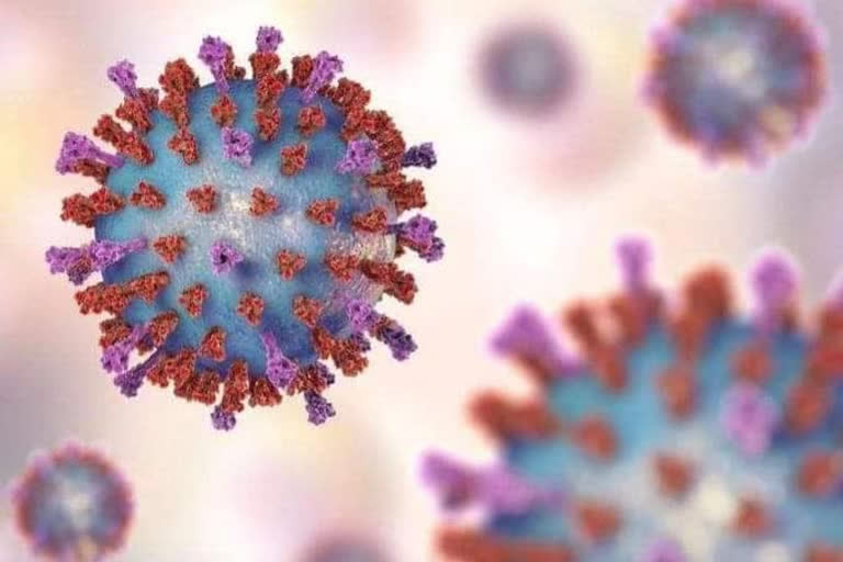 Coronavirus scare