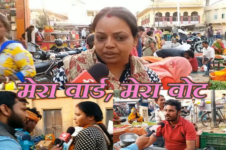 jaipur news, Amer news, राजस्थान न्यूज जयपुर न्यूज,