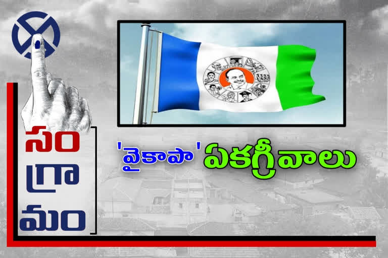 ycp-dominates-the-majority-seats-in-guntoor-district-over-local-elections