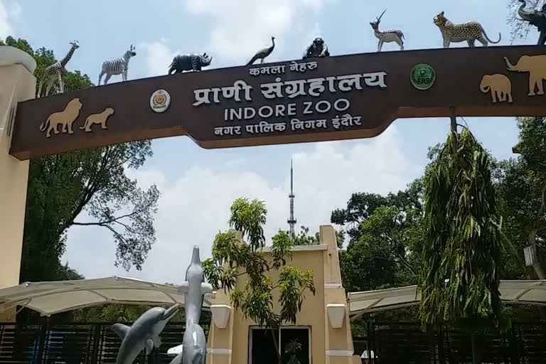 indore-zoo-shut-down-because-of-corona-virus