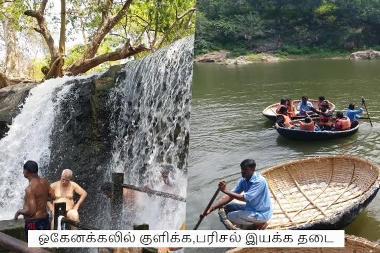 dharmapuri collector ban to bath in hoganakkal  தருமபுரி மாவட்ட ஆட்சியர் மலர்விழி  ஒகேனக்கலில் குளிக்கத் தடை  தருமபுரி மாவட்ட ஆட்சியர் மலர்விழி  Bathing Prohibition in Hogenakkal Waterfalls